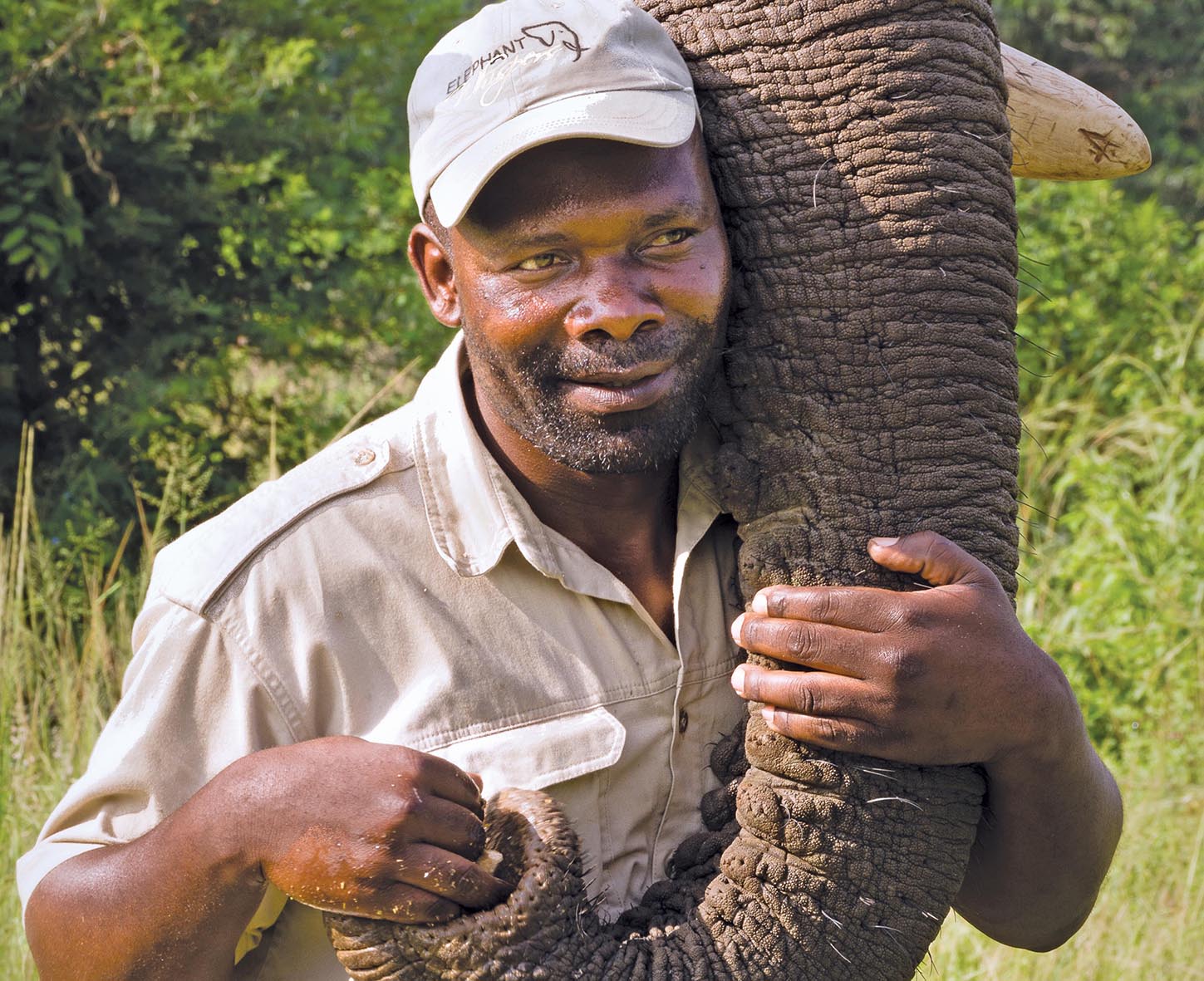Handlers with elephants