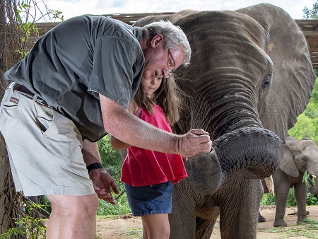 Elephant interaction