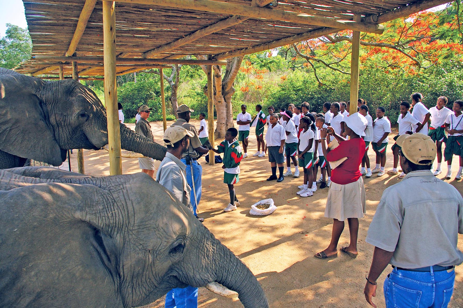 Community Education