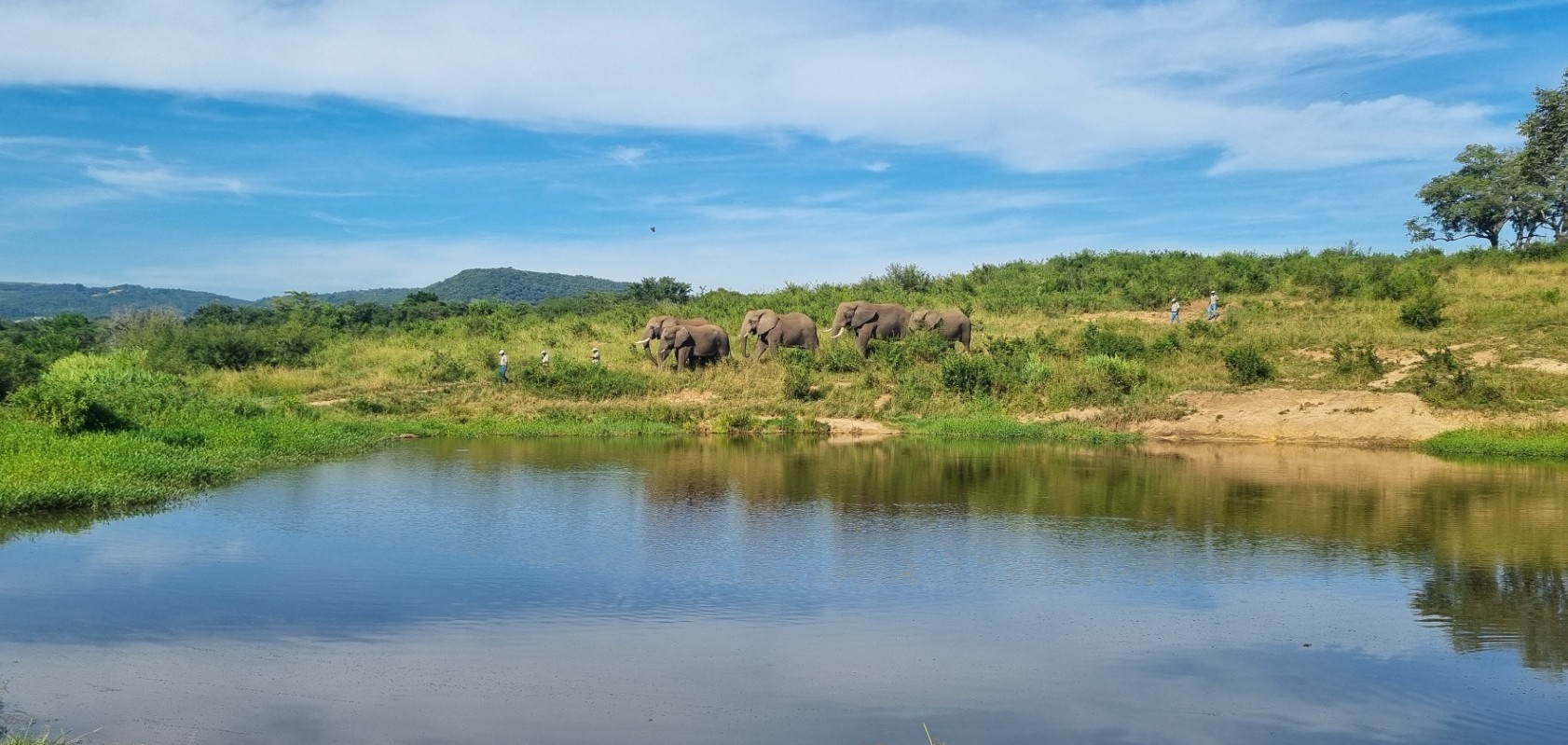 Elephant care at Elephant Whispers