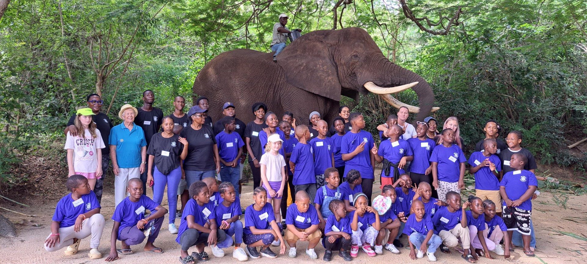 Elephant community